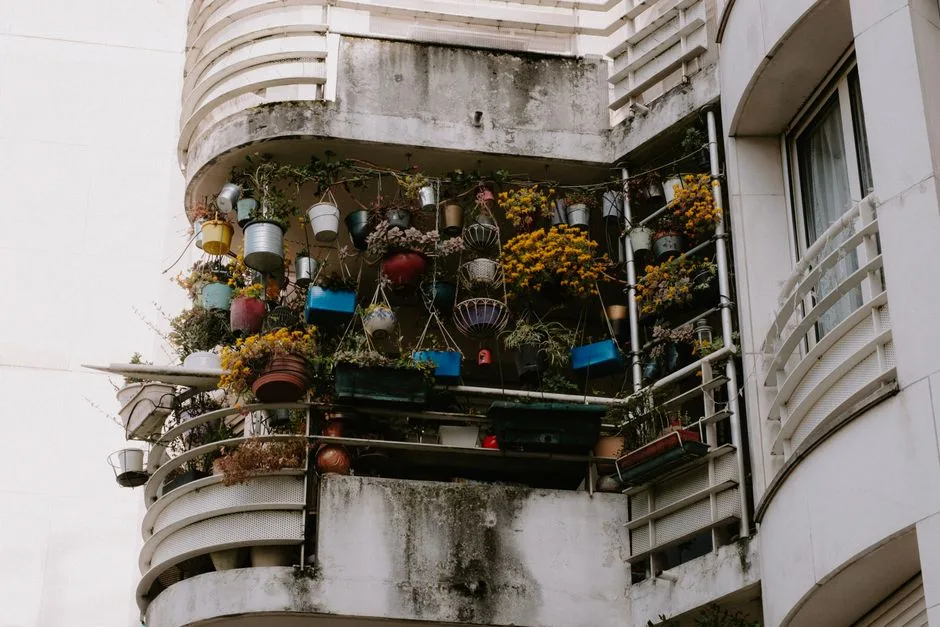 Plantes en pot sur un balcon en ville